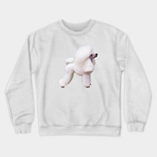 Poodle Mini Toy Show Groom Puppy Dog Crewneck Sweatshirt